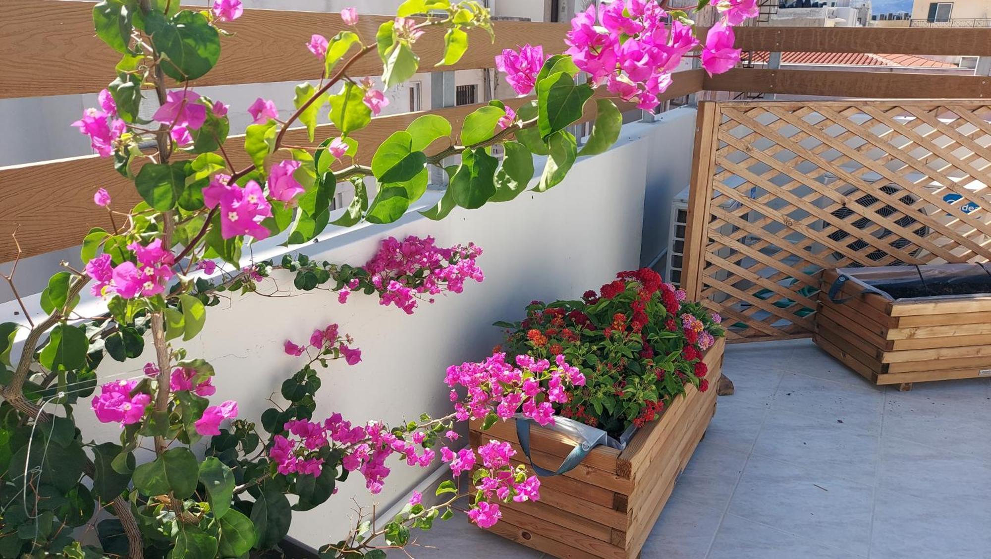 The Little Big Apartment In The Heart Of Heraklion Exterior photo